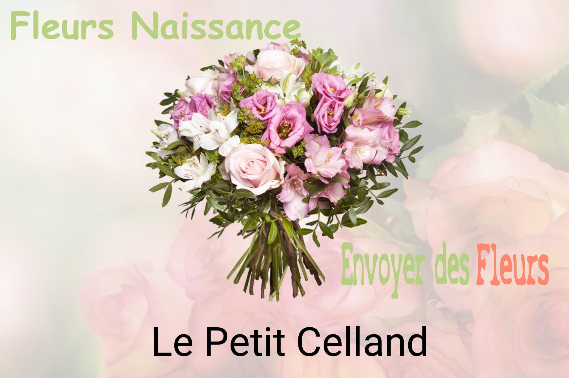 Bouquet de fleurs de naissance livré à Le Petit-Celland